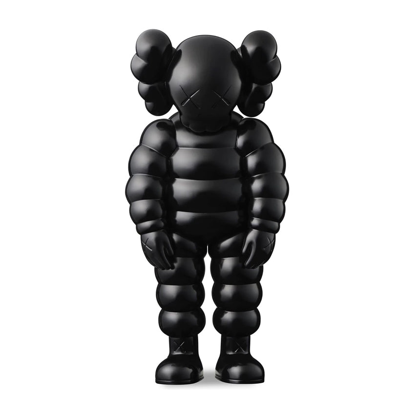 KAWS - What Party (Black) - Open Edition Vinyl Collectible – Limn